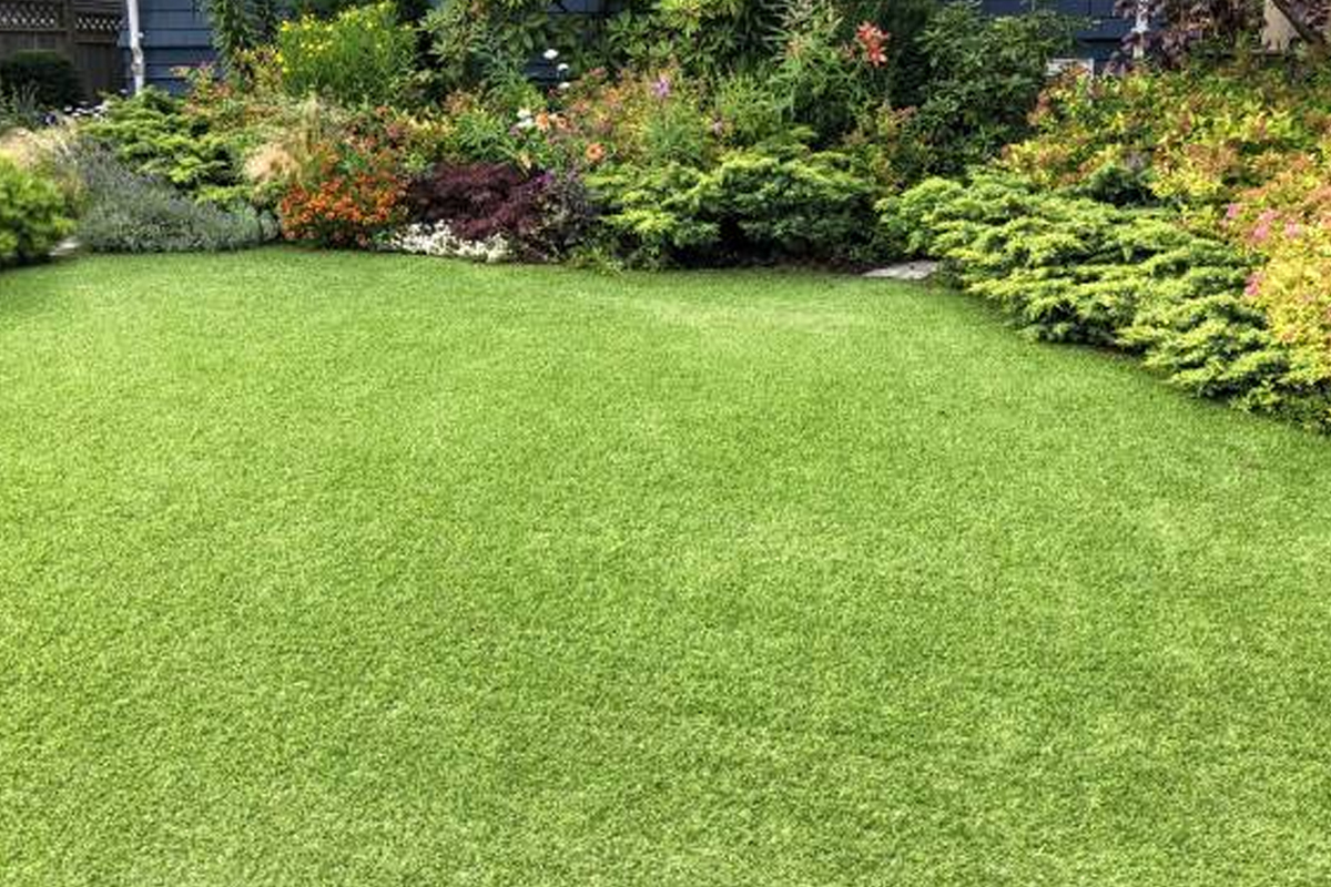 Artificial Grass Turf Installation Rockford