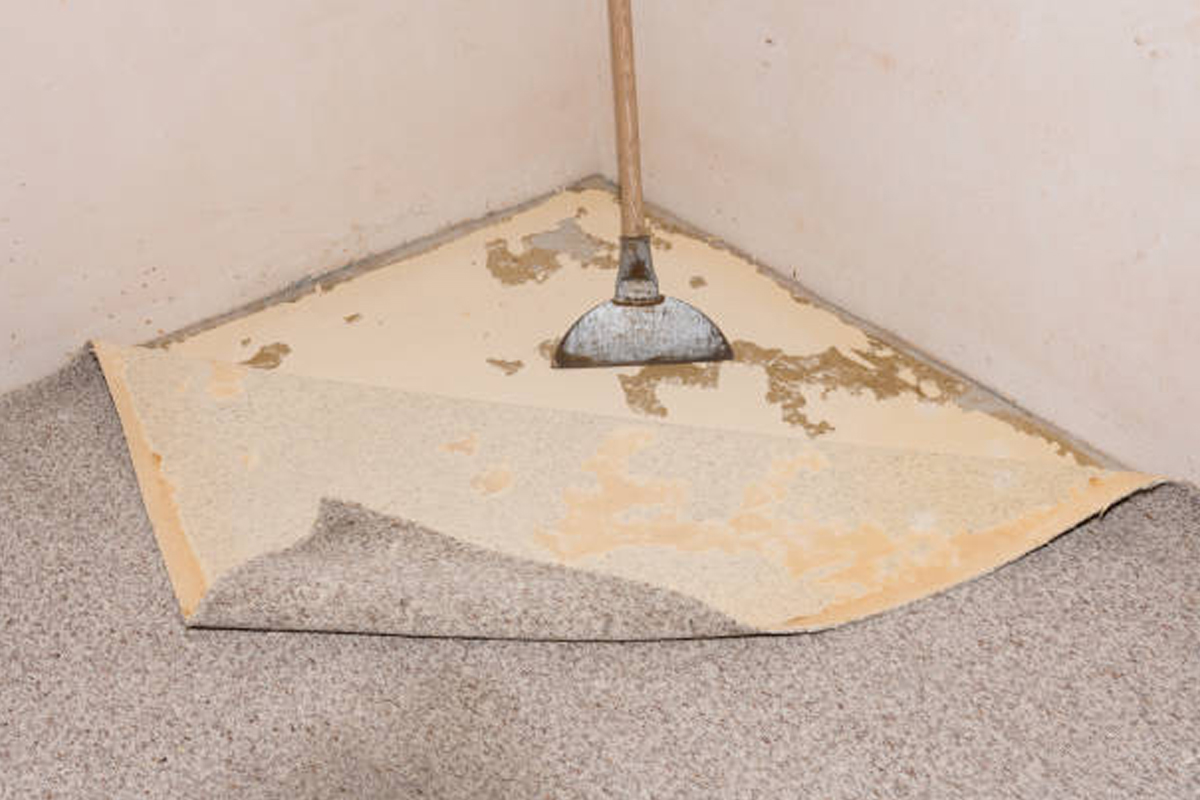 Carpet & Old Flooring Removal Handyman Services in Rockford