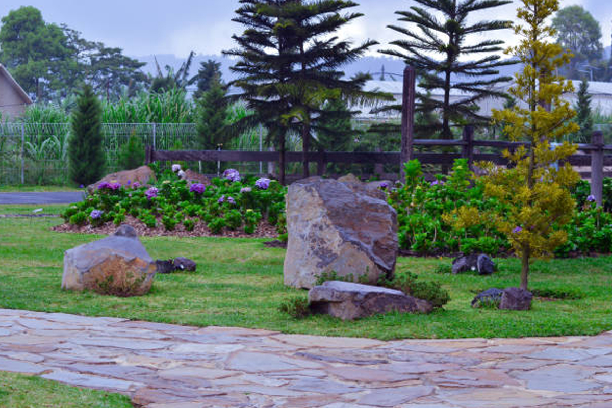Decorative Stone & Landscape Bed Installation Rockford
