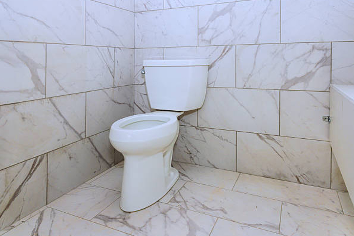 Elongated Bowl & Comfort Height Toilet Installation Rockford