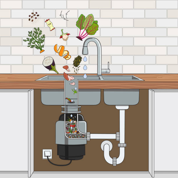 Garbage Disposal Replacement & Swap Installation Rockford