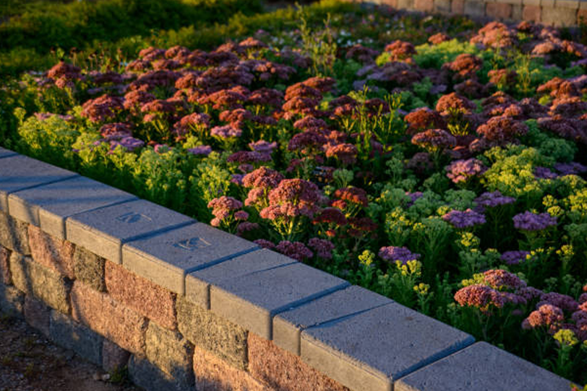 Garden Wall & Low Border Wall Installation Rockford