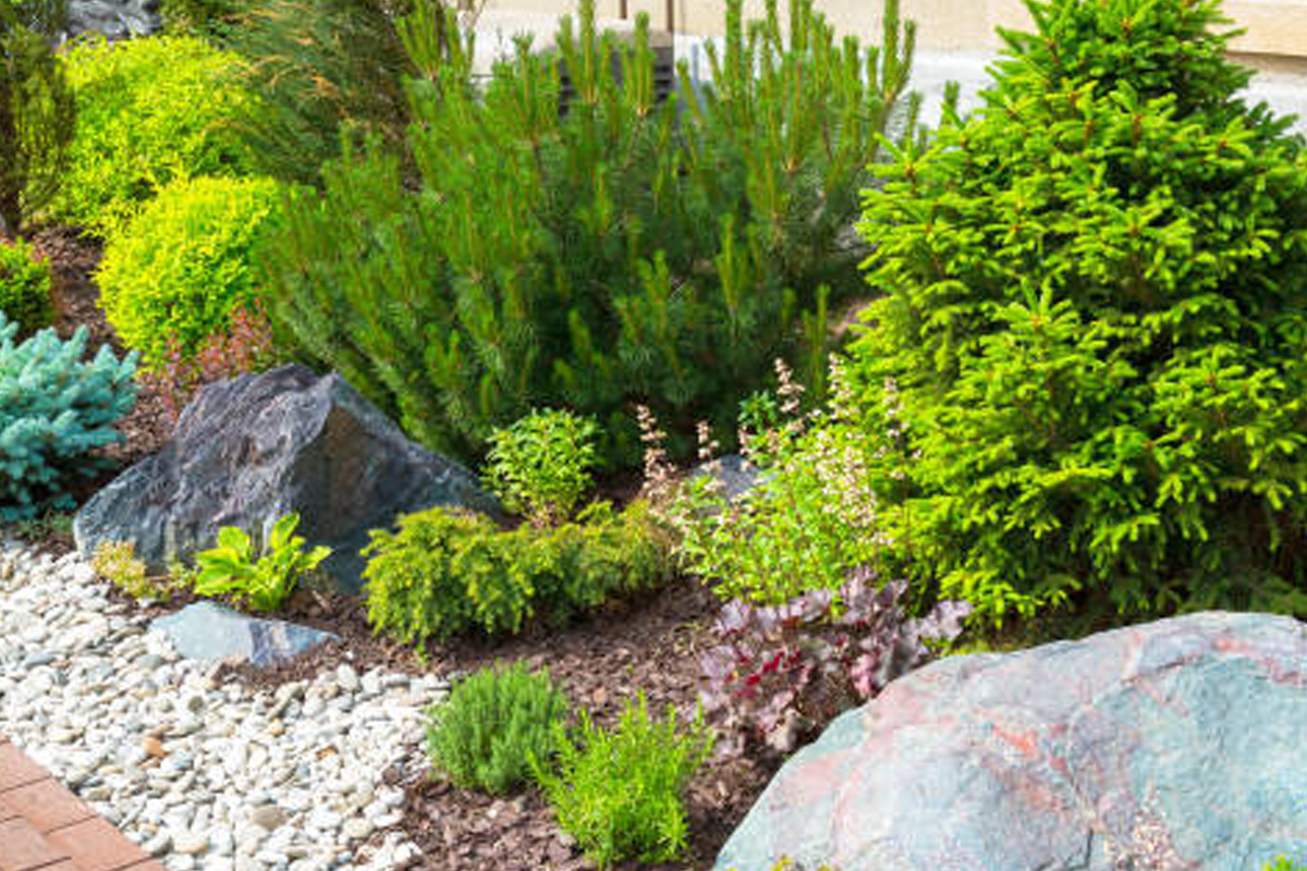 Landscape Boulder & Accent Rock Placement Installation Rockford