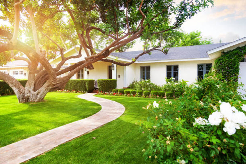 Landscaping & outdoor installation Rockford