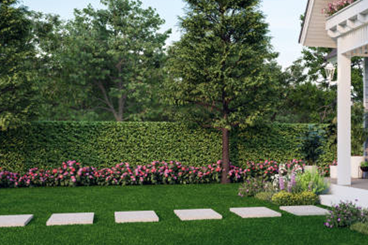 Privacy Tree Fence Installation Rockford