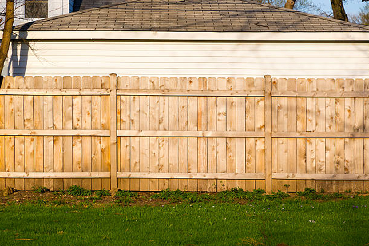 Privacy Tree Fence & Living Wall Installation Rockford