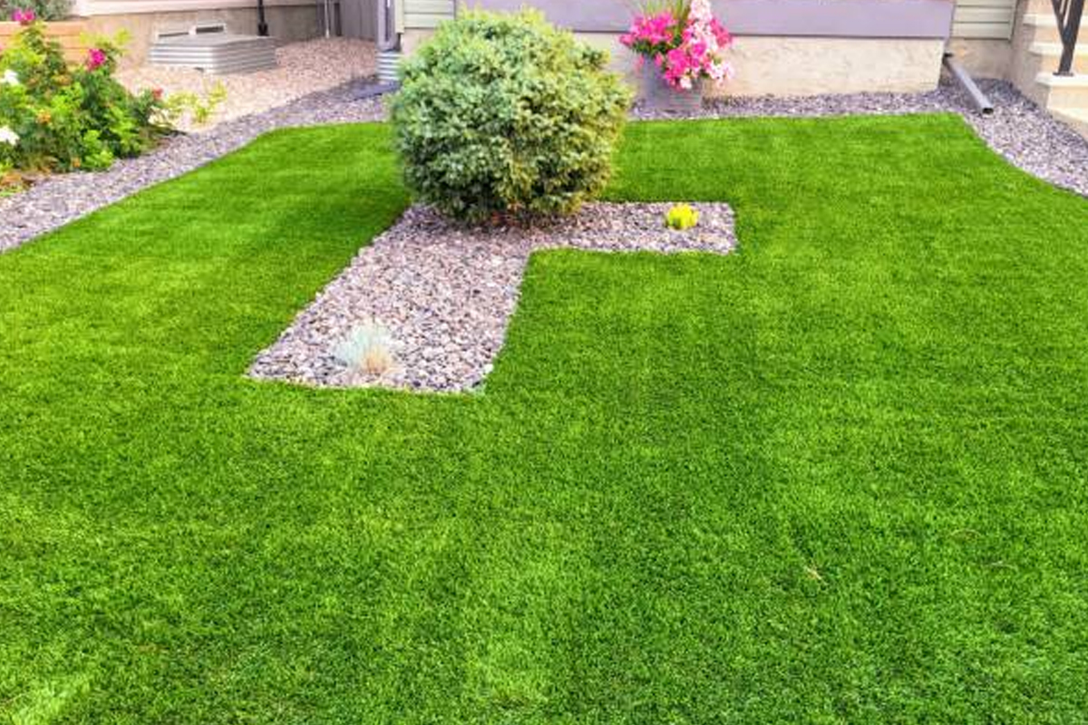 Residential Lawn Replacement Installation Rockford