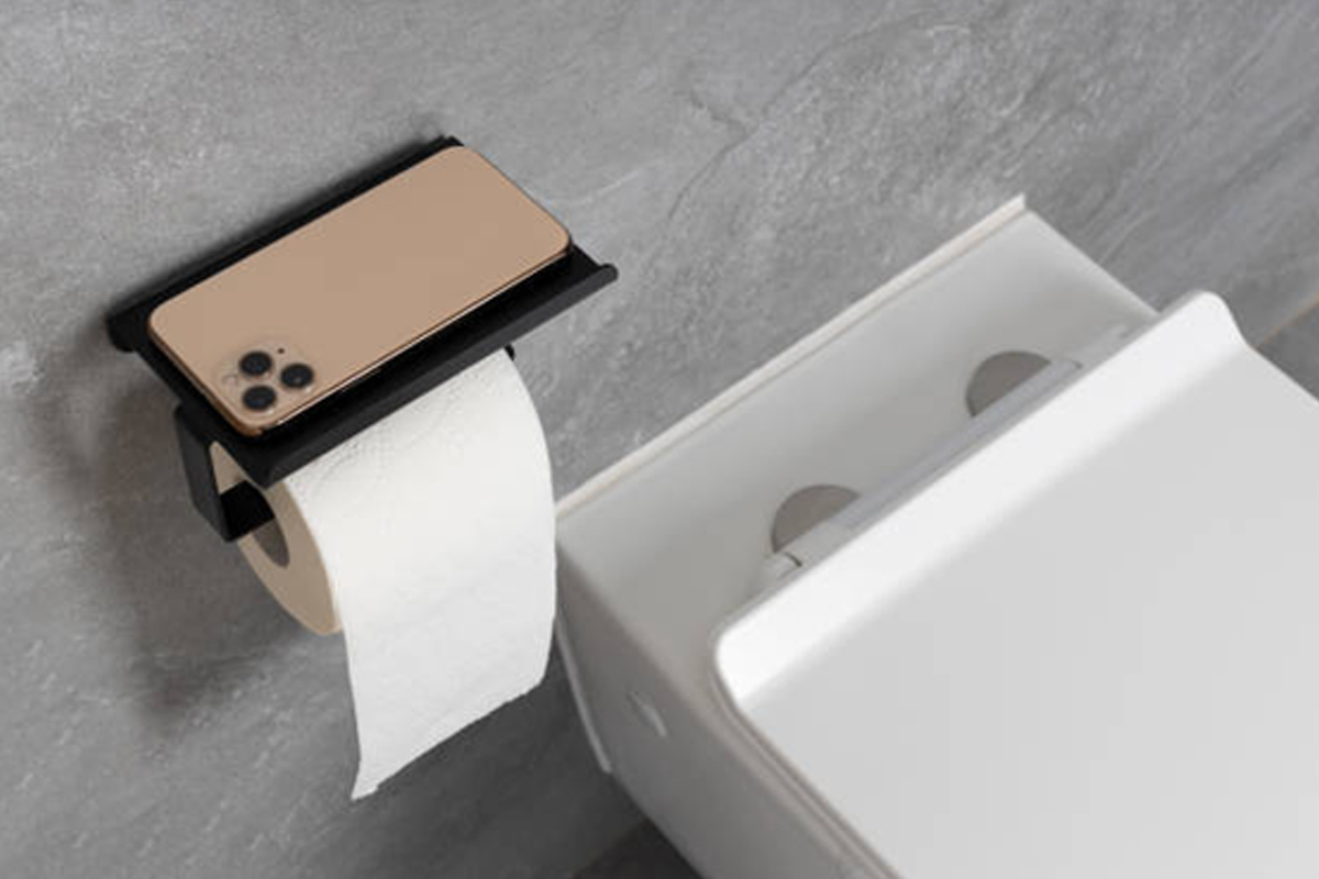 Toilet Paper Holder & Dispenser Mounting Handyman Services in Rockford