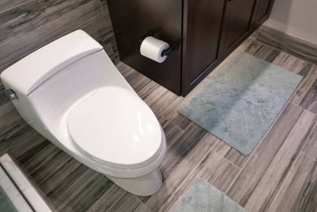 Toilet Replacement Installation Rockford