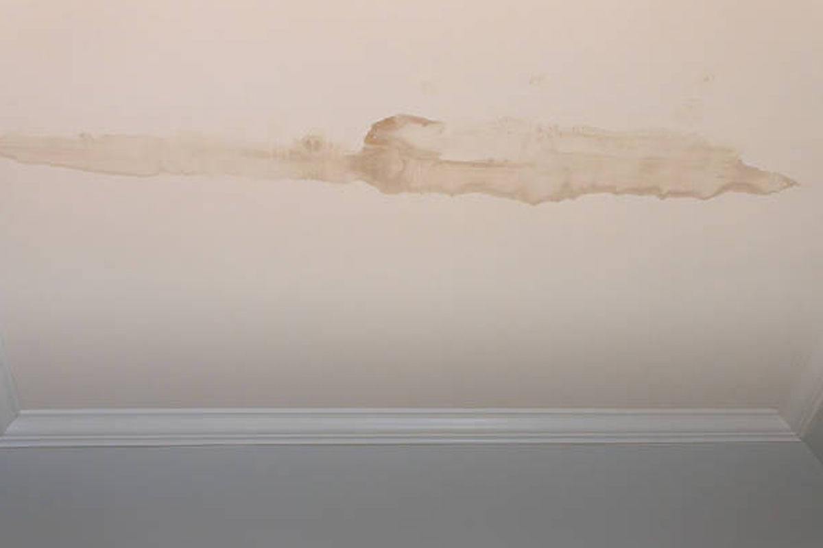 Water Damage Drywall Repair Handyman Services Rockford